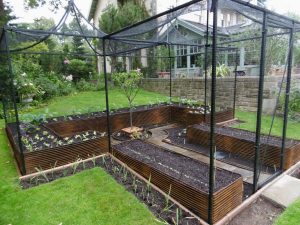 Rebar vegetable enclosure completed