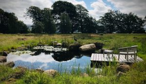 Perthshire Pond