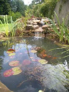 Small pond and cascade, Fife garden