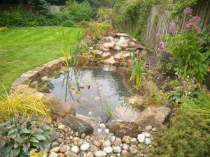 Small pond and cascade, Fife garden