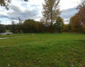 Callander Froglife - site showing expanse of green grass, a pathway and trees.