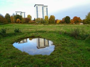 Reflections of buildings and sky on the surface of the pond in Callendar Park Falkirk