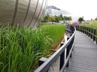 Glasgow Science Centre - COP 2021