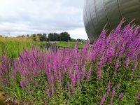 Glasgow Science Centre - COP 2021