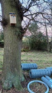 Start of rewilding project, showing tree with newly-fitted bird nesting box. Rolls of new fencing lie at base of tree-trunk awaiting installation.