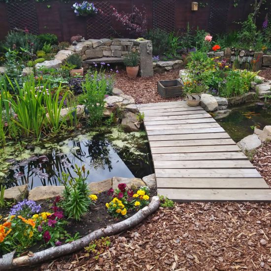 Haddington Wildlife Garden, pond, aquatic plants, flower borders, stone seat, wooden bridge across pond