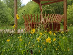 Portfolio image, Trossachs Boardwalk, wooden bench seat, flowers, trees