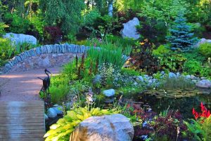 Portfolio image, Aviemore garden, pond, flowers, trees, decking, stonework