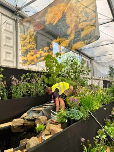 Chelsea Flower Show, Binny stand, building water feature