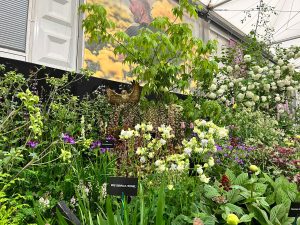 Chelsea Flower Show 2023, Binny stand, plants with name labels