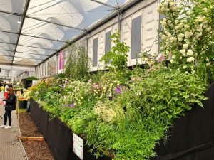 Chelsea Flower Show 2023, Binny stand, planting complete