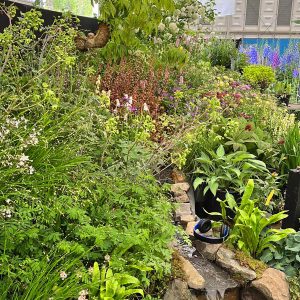 Chelsea Flower Show 2023, Binny stand, planting and water feature complete