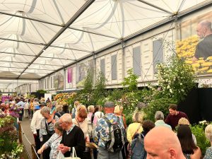 Chelsea Flower Show 2023, visitors at Binny stand