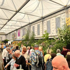 Chelsea Flower Show 2023, visitors at Binny stand