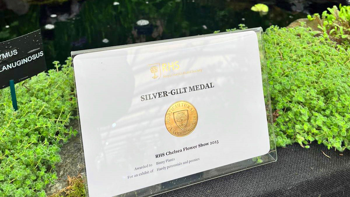 Chelsea Flower Show 2023, Silver-Gilt Award Certificate for Binny Plants