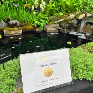 Chelsea Flower Show 2023, Binny Plants - Silver-Gilt Medal Award certificate