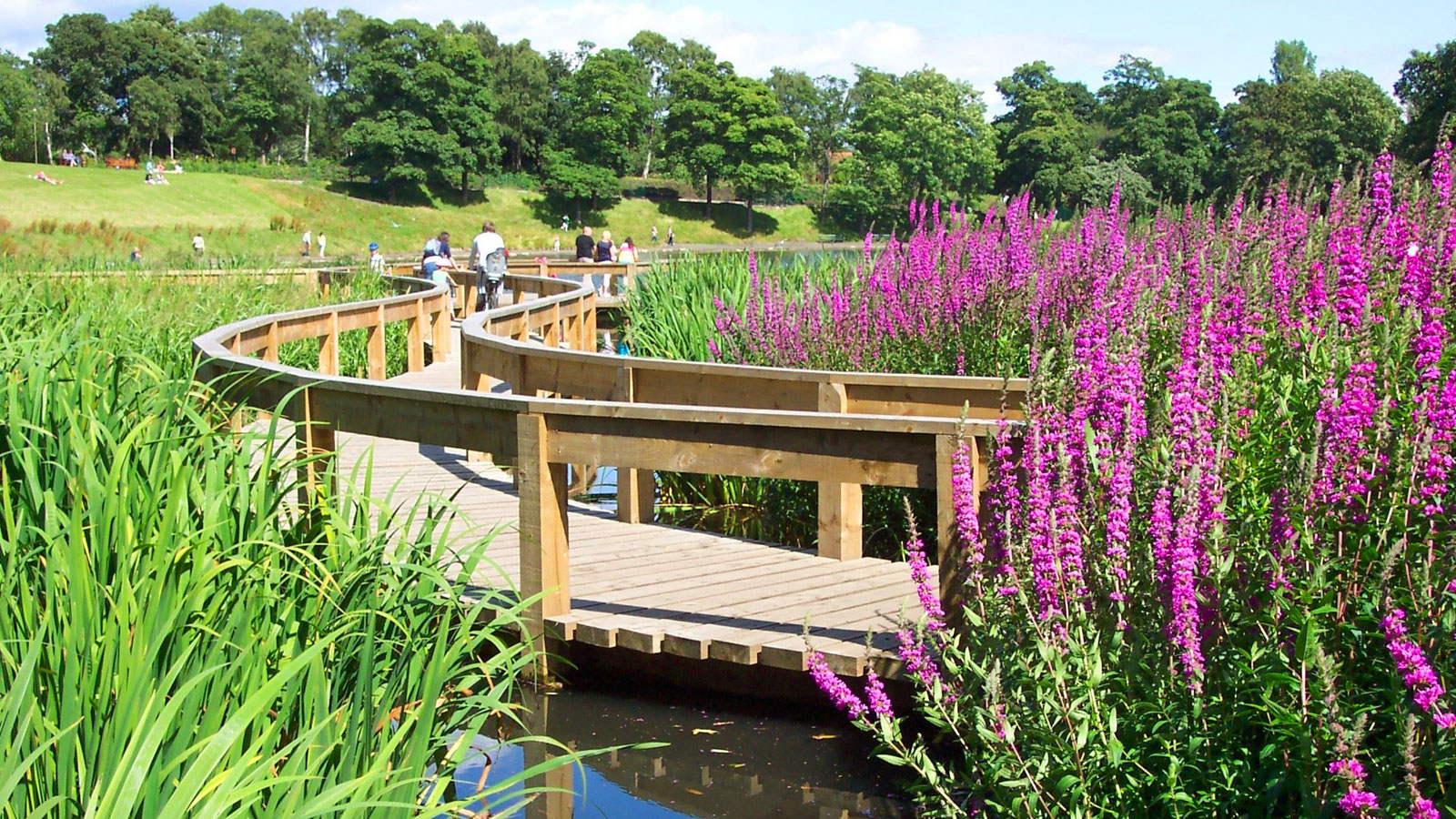 Wooden boardwalk, pond, aquatic plants, trees, featured image on BALI Event news post