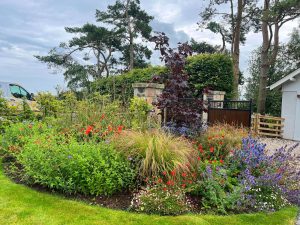 Colourful update from East Lothian garden, Flowers, trees