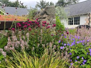 Colourful garden, flowers,