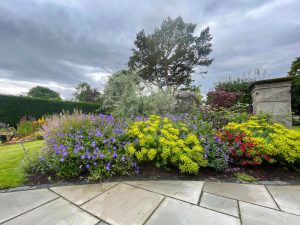 Colourful garden, flowers, trees, paving