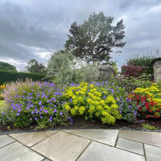 Colourful garden, flowers, trees, paving