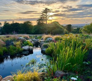 East Lothian Cascade - BALI 2025 Winner